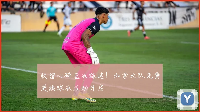 收留心碎蓝衣球迷！加拿大队免费更换球衣活动开启