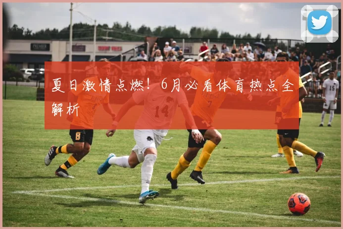 夏日激情点燃！6月必看体育热点全解析
